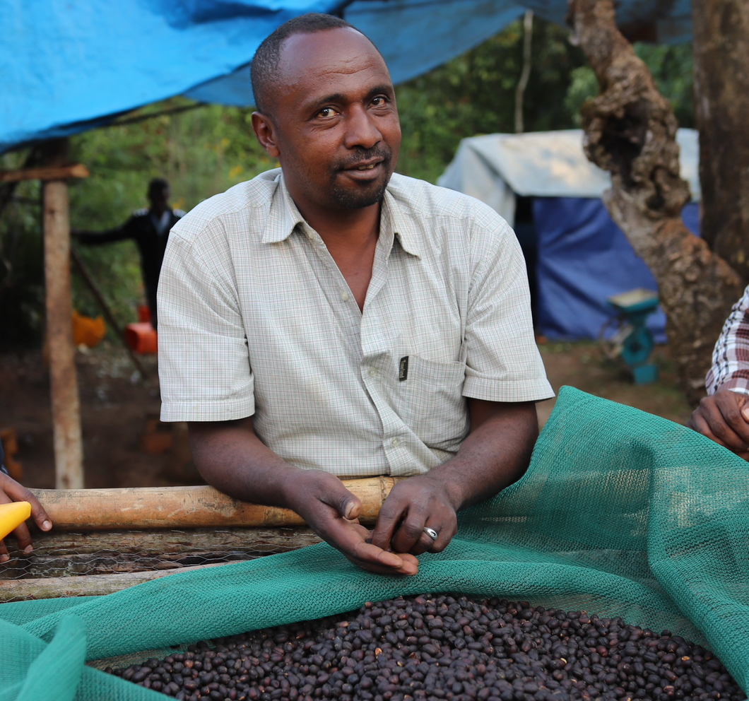 Kabira G2, Ethiopia - organic